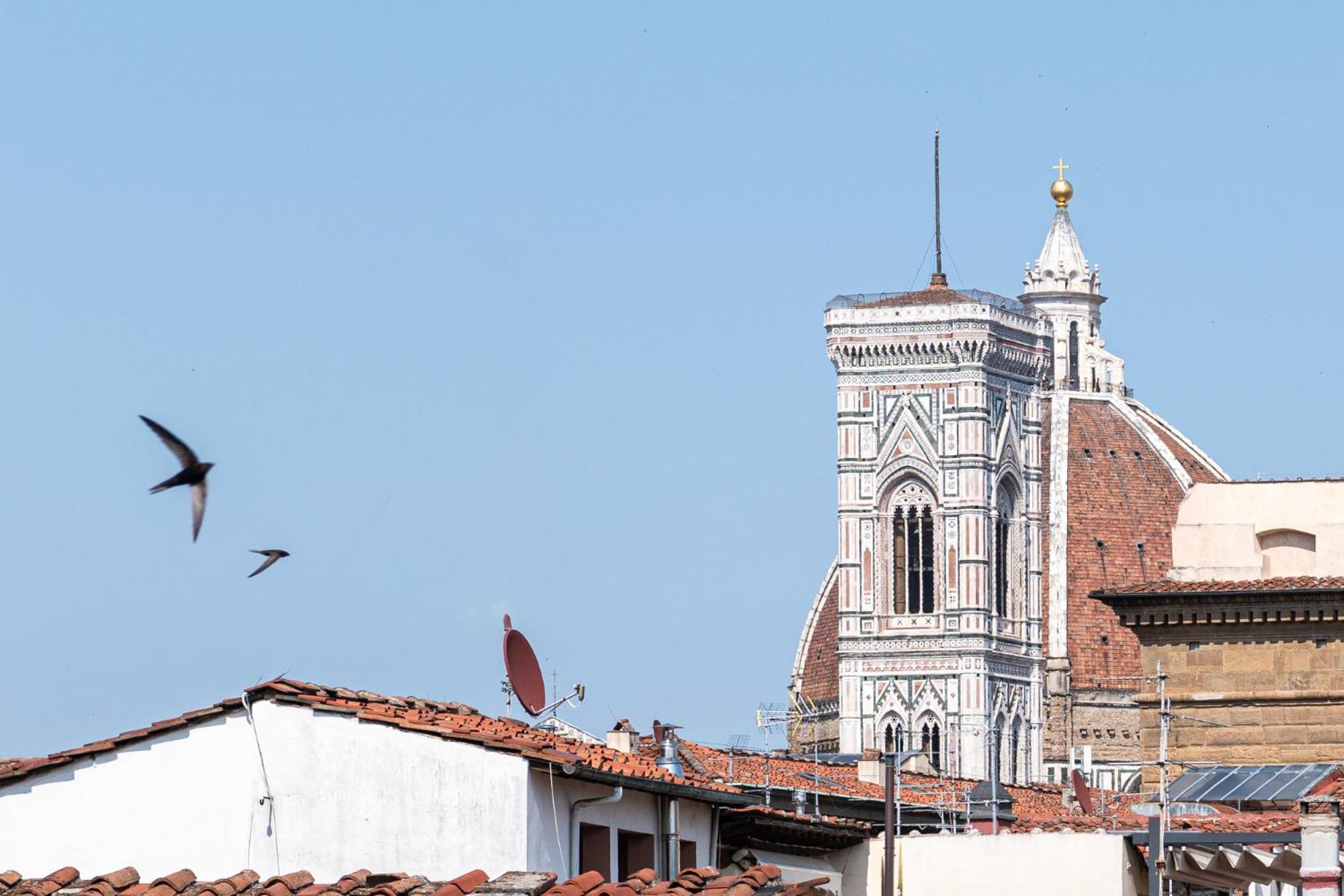 Parione Loft In Town Center